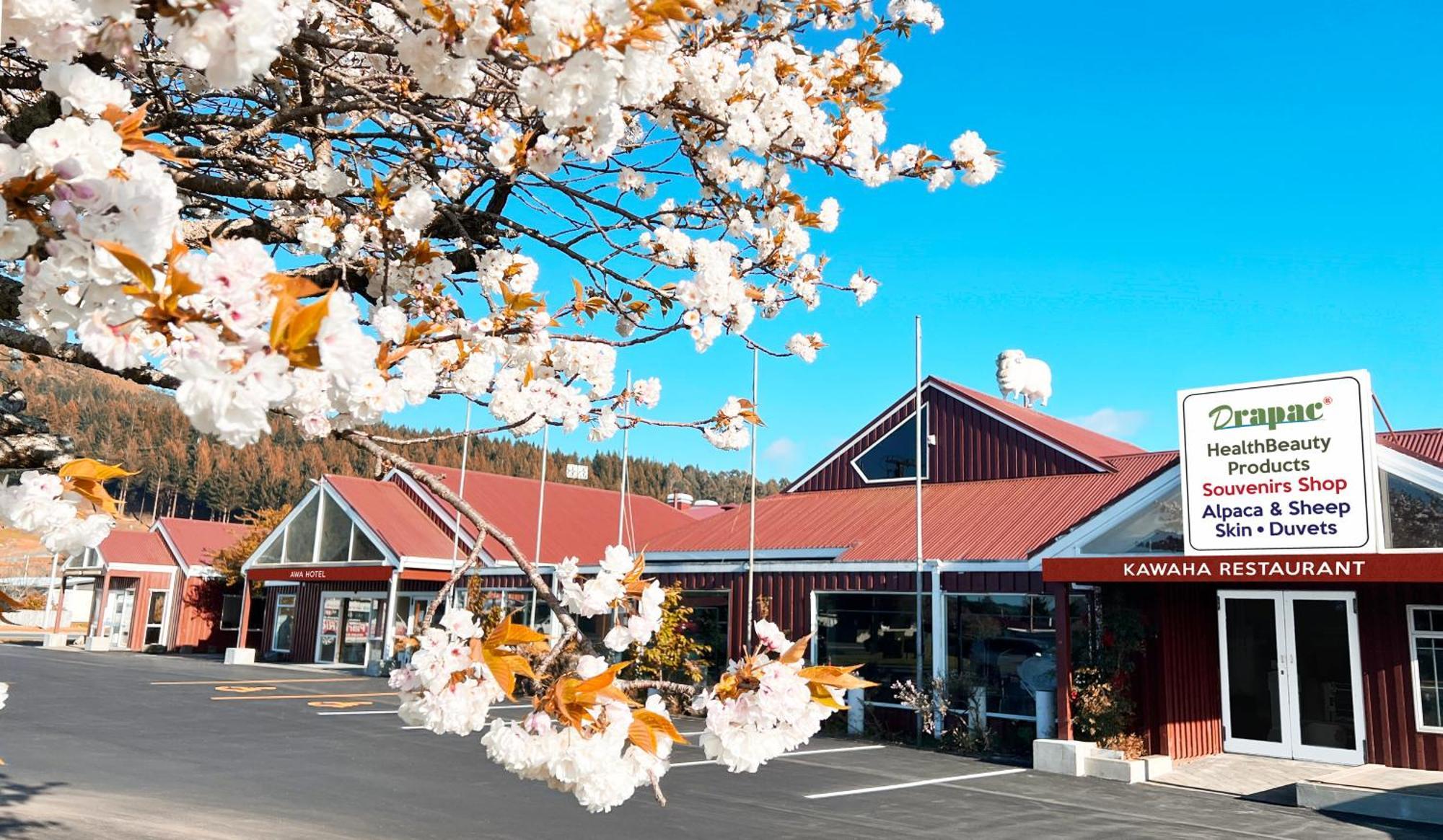 Awa Hotel Rotorua Exterior foto